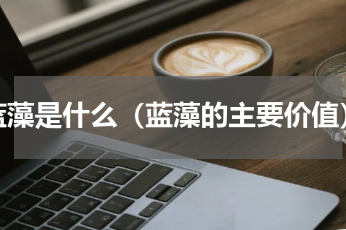 蓝藻是什么（蓝藻的主要价值）