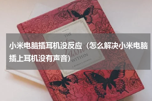 小米电脑插耳机没反应（怎么解决小米电脑插上耳机没有声音）