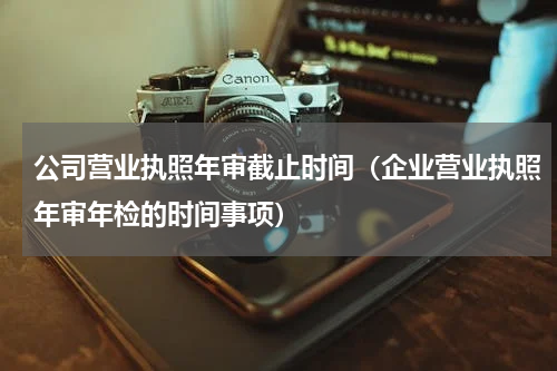 公司营业执照年审截止时间（企业营业执照年审年检的时间事项）