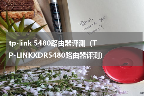 tp-link 5480路由器评测（TP-LINKXDR5480路由器评测）