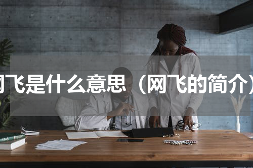网飞是什么意思（网飞的简介）