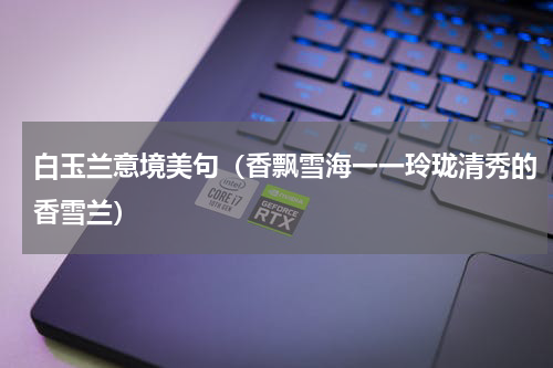 白玉兰意境美句（香飘雪海一一玲珑清秀的香雪兰）
