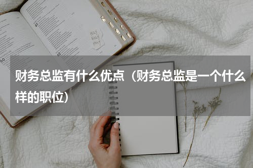 财务总监有什么优点（财务总监是一个什么样的职位）