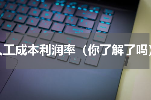 人工成本利润率（你了解了吗）