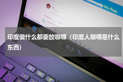 印度做什么都要放咖喱（印度人咖喱是什么东西）