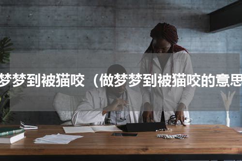 做梦梦到被猫咬（做梦梦到被猫咬的意思）