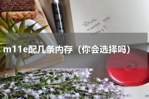 m11e配几条内存（你会选择吗）