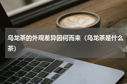 乌龙茶的外观差异因何而来（乌龙茶是什么茶）