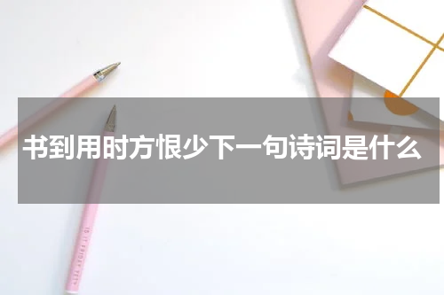 书到用时方恨少下一句诗词是什么