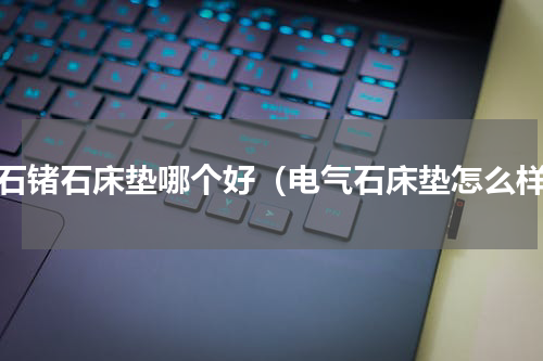 玉石锗石床垫哪个好（电气石床垫怎么样）