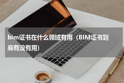 bim证书在什么领域有用（BIM证书到底有没有用）