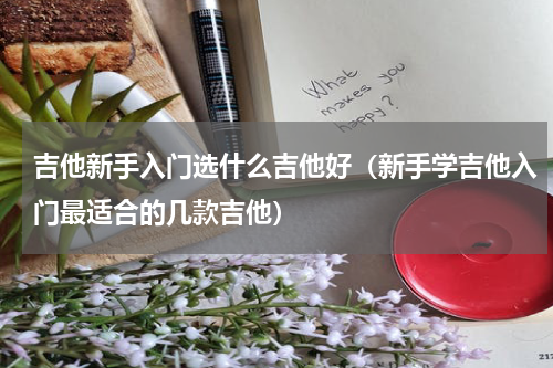 吉他新手入门选什么吉他好（新手学吉他入门最适合的几款吉他）
