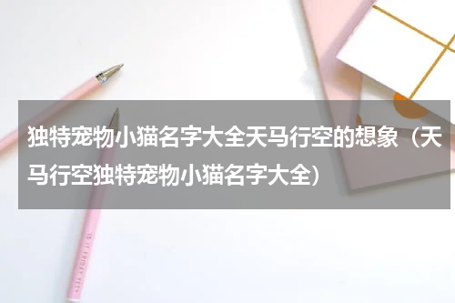 独特宠物小猫名字大全天马行空的想象（天马行空独特宠物小猫名字大全）