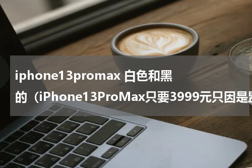 iphone13promax 白色和黑的（iPhone13ProMax只要3999元只因是监管机）