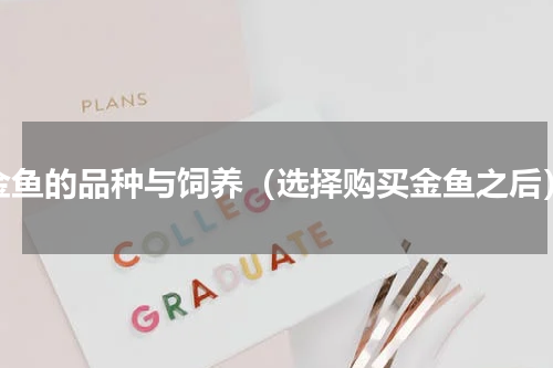 金鱼的品种与饲养（选择购买金鱼之后）