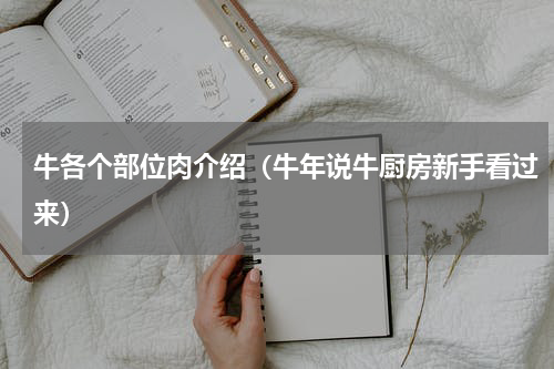 牛各个部位肉介绍（牛年说牛厨房新手看过来）