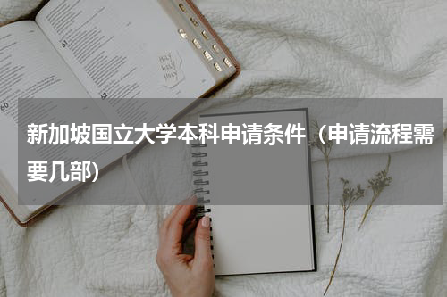 新加坡国立大学本科申请条件（申请流程需要几部）