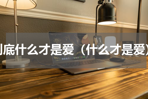 到底什么才是爱（什么才是爱）
