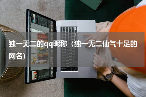 独一无二的qq昵称（独一无二仙气十足的网名）