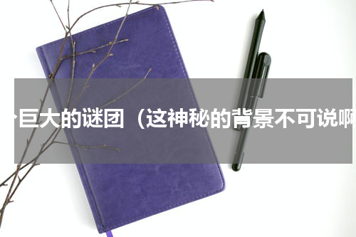 一个巨大的谜团（这神秘的背景不可说啊）