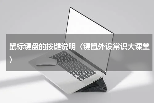 鼠标键盘的按键说明（键鼠外设常识大课堂）