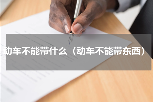 动车不能带什么（动车不能带东西）