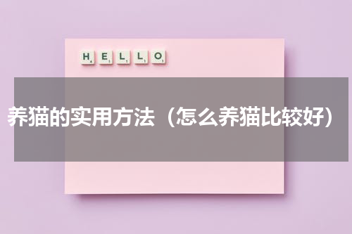 养猫的实用方法（怎么养猫比较好）
