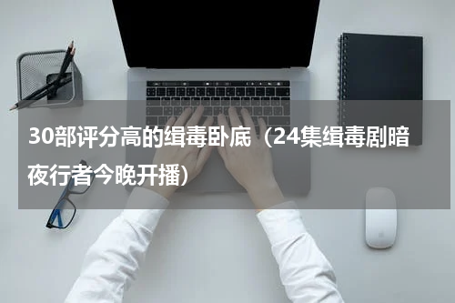 30部评分高的缉毒卧底（24集缉毒剧暗夜行者今晚开播）