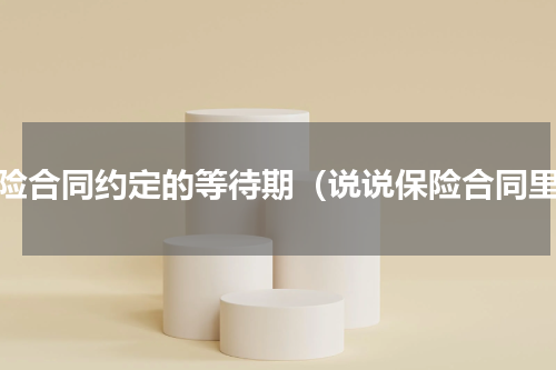 保险合同约定的等待期（说说保险合同里）