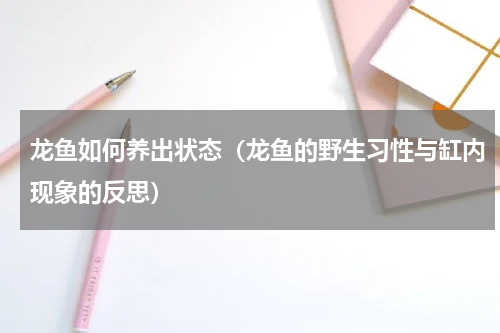 龙鱼如何养出状态（龙鱼的野生习性与缸内现象的反思）