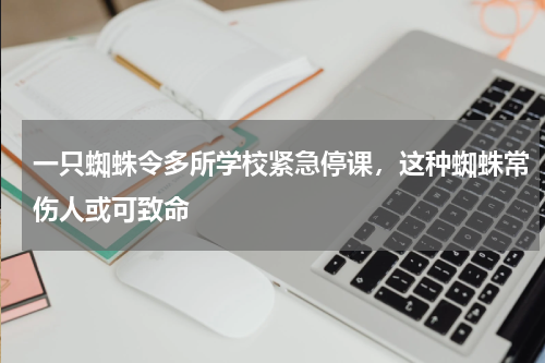 一只蜘蛛令多所学校紧急停课，这种蜘蛛常伤人或可致命