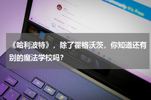 《哈利波特》，除了霍格沃茨，你知道还有别的魔法学校吗？