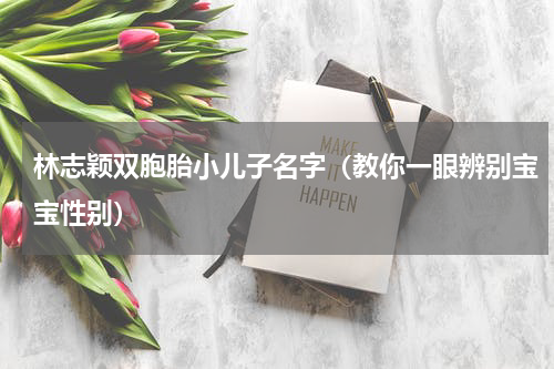 林志颖双胞胎小儿子名字（教你一眼辨别宝宝性别）