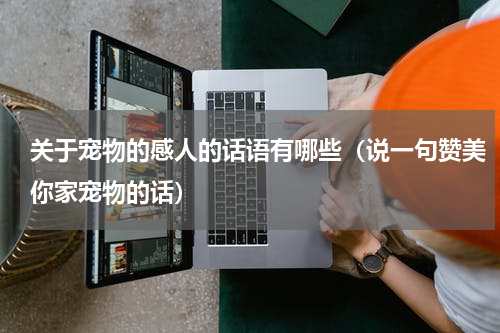 关于宠物的感人的话语有哪些（说一句赞美你家宠物的话）