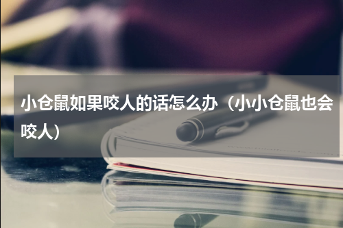 小仓鼠如果咬人的话怎么办（小小仓鼠也会咬人）