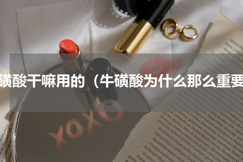 牛磺酸干嘛用的（牛磺酸为什么那么重要）