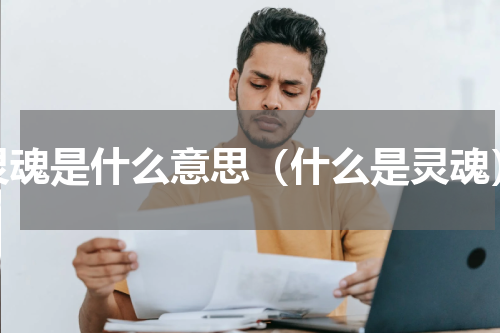灵魂是什么意思（什么是灵魂）