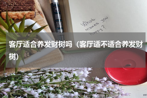 客厅适合养发财树吗（客厅适不适合养发财树）