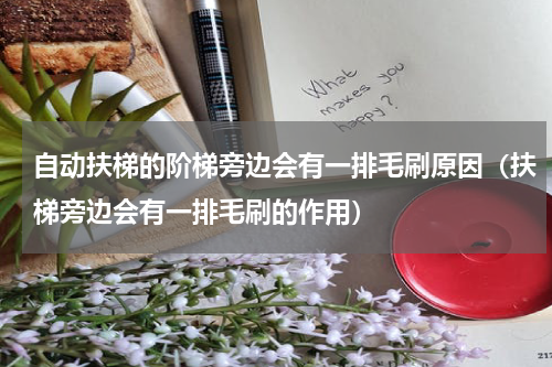自动扶梯的阶梯旁边会有一排毛刷原因（扶梯旁边会有一排毛刷的作用）