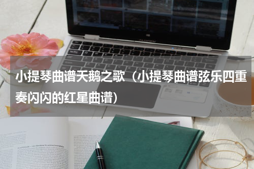 小提琴曲谱天鹅之歌（小提琴曲谱弦乐四重奏闪闪的红星曲谱）