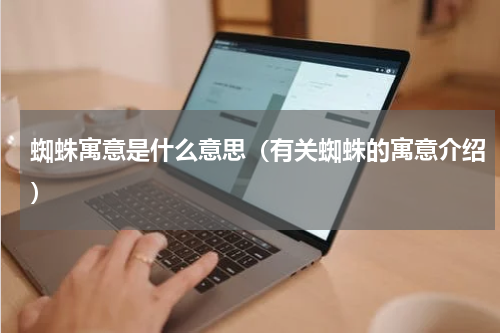 蜘蛛寓意是什么意思（有关蜘蛛的寓意介绍）