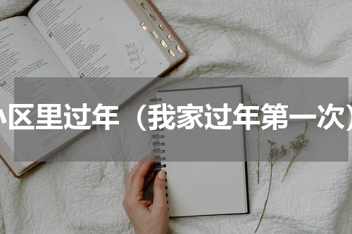 小区里过年（我家过年第一次）