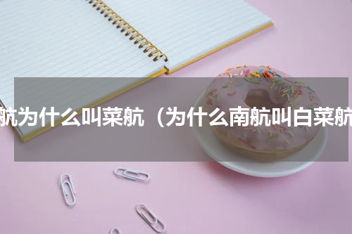 南航为什么叫菜航（为什么南航叫白菜航）