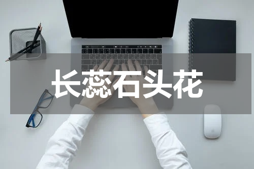 长蕊石头花