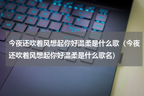 今夜还吹着风想起你好温柔是什么歌（今夜还吹着风想起你好温柔是什么歌名）