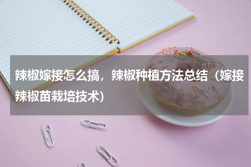 辣椒嫁接怎么搞，辣椒种植方法总结（嫁接辣椒苗栽培技术）