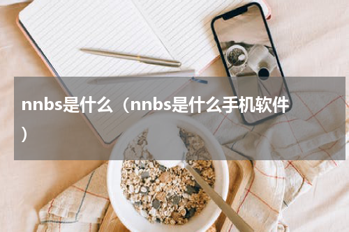 nnbs是什么（nnbs是什么手机软件）