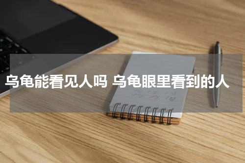 乌龟能看见人吗 乌龟眼里看到的人