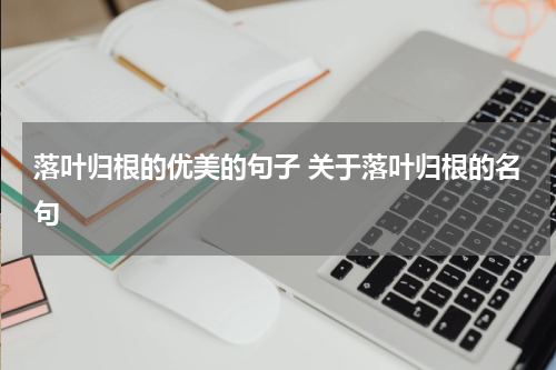 落叶归根的优美的句子 关于落叶归根的名句