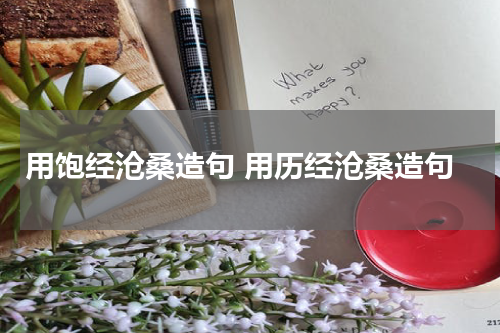 用饱经沧桑造句 用历经沧桑造句